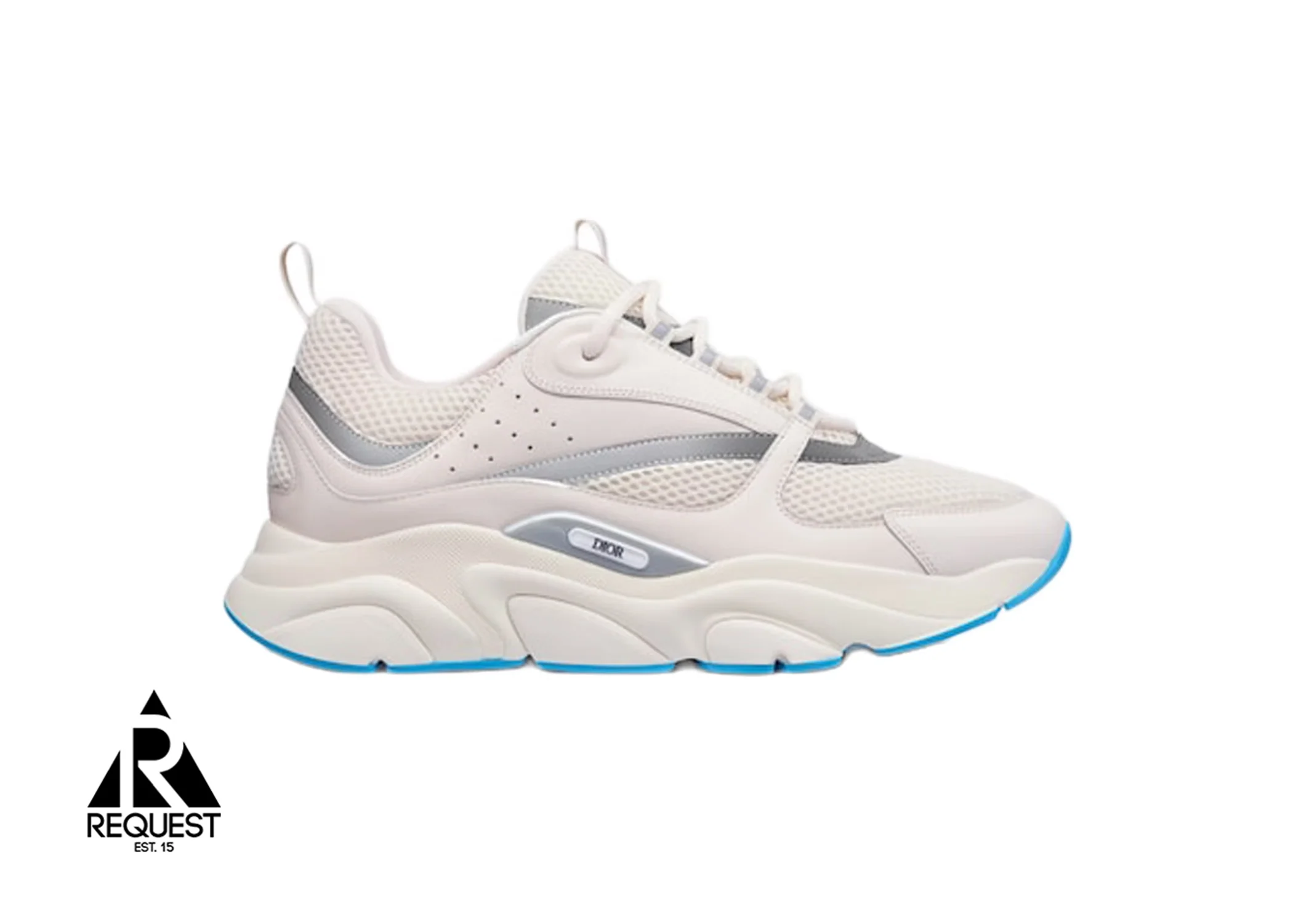 B22 "White Silver Blue"