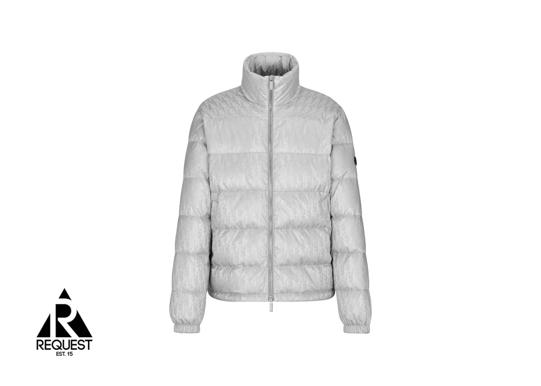 Oblique Down Jacket "Silver Tone"