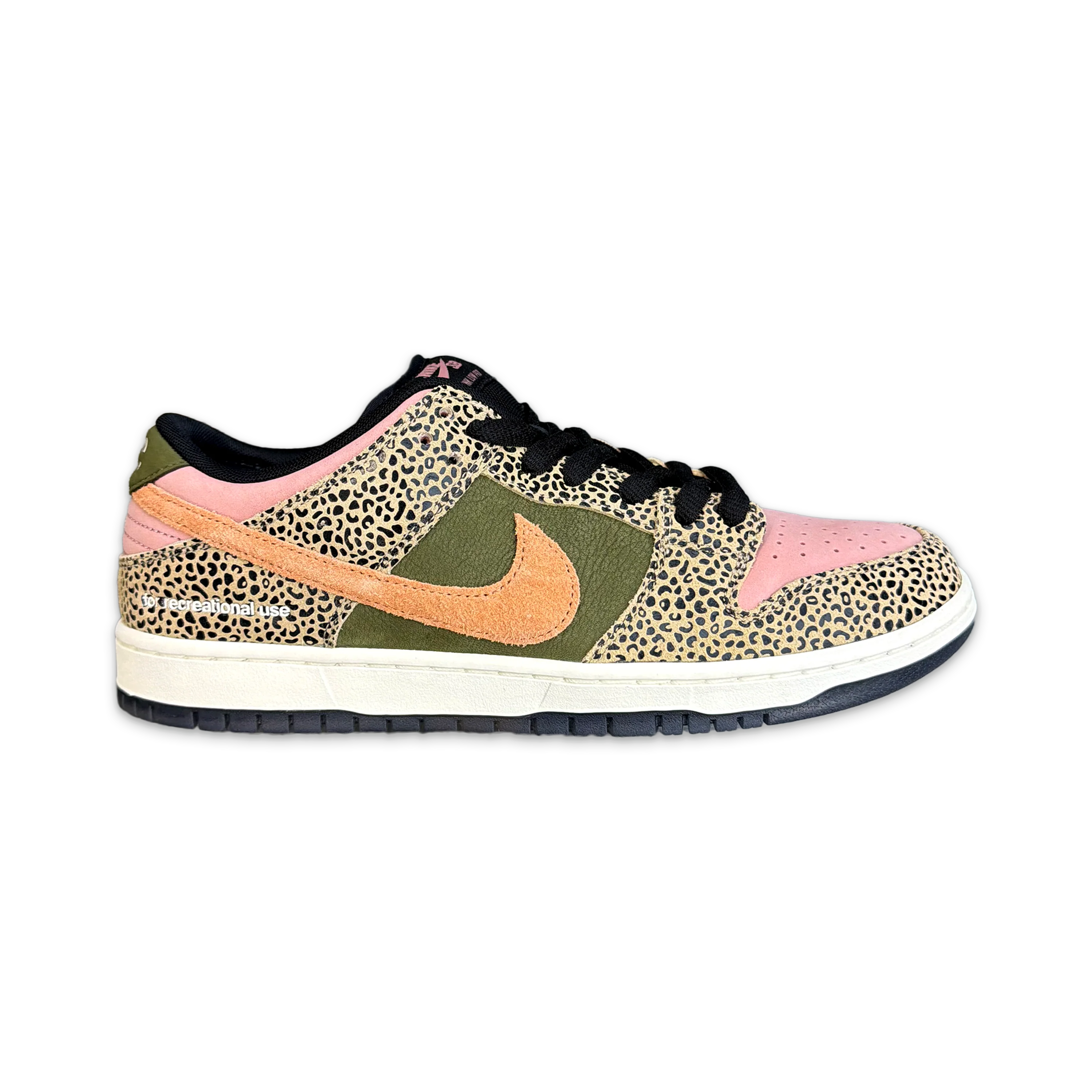 SB Dunk Low "Arts-Rec"