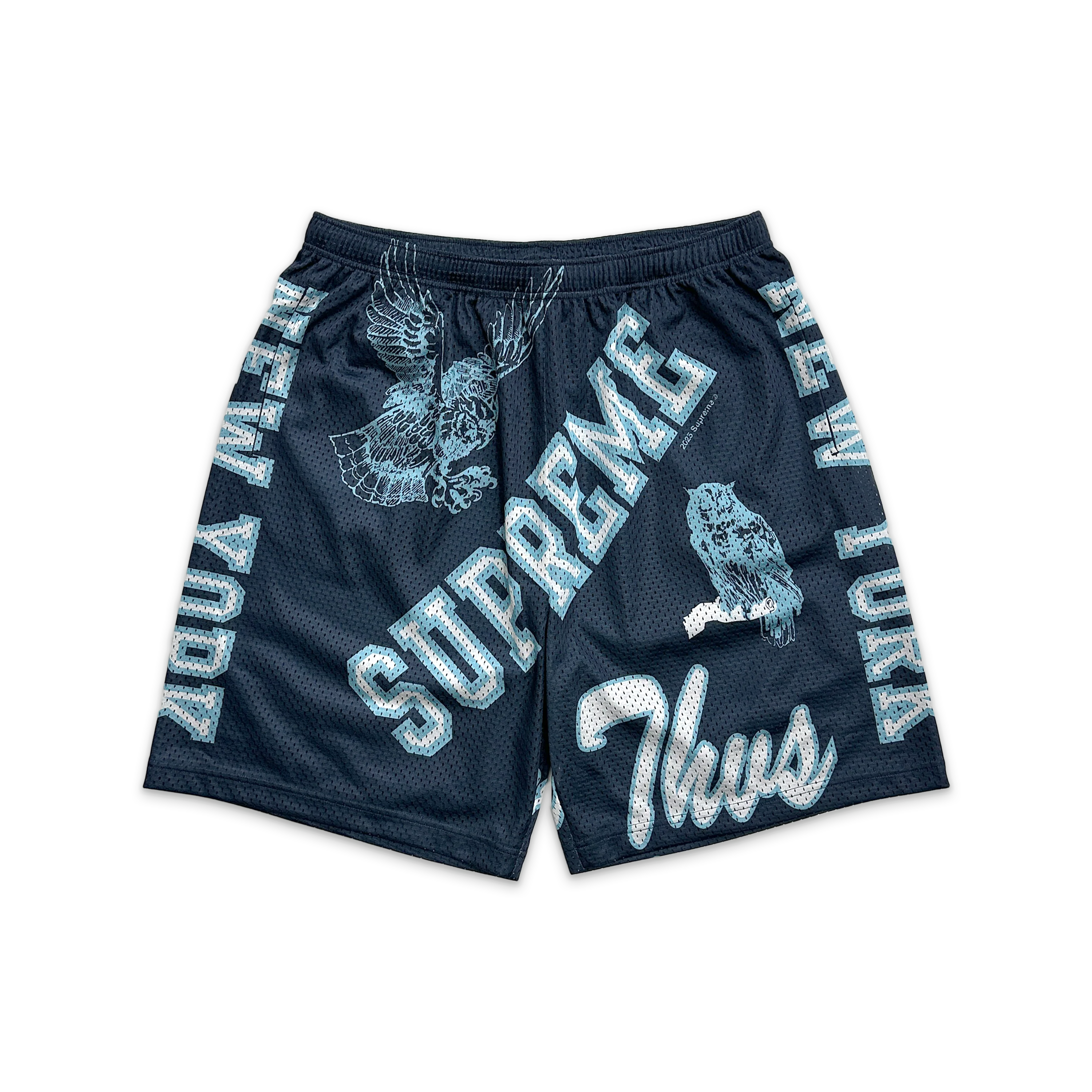 Varsity Mesh Shorts "Navy"