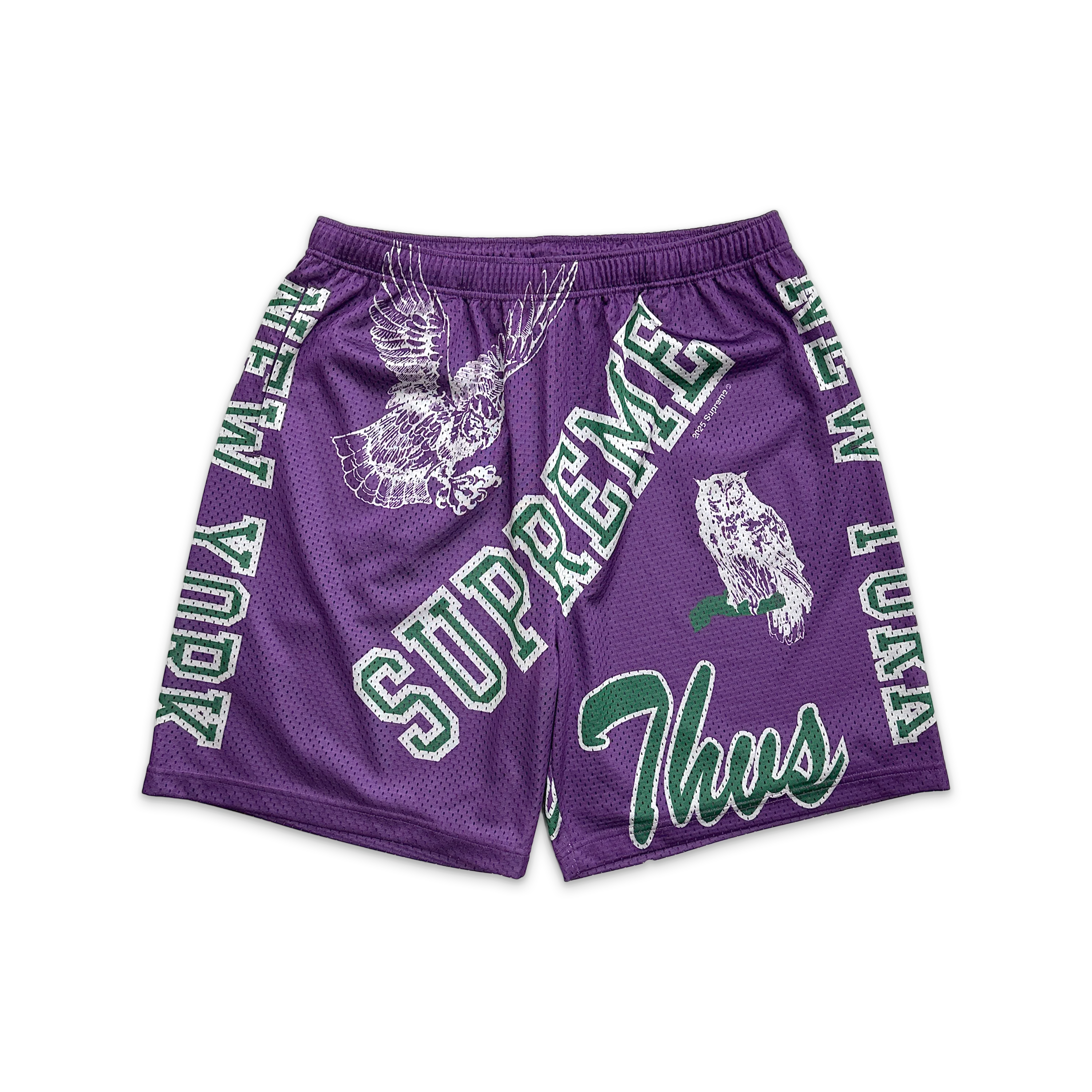 Varsity Mesh Shorts "Purple"